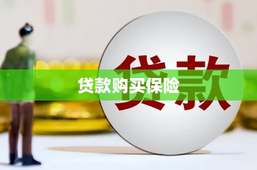且末贷款购买保险