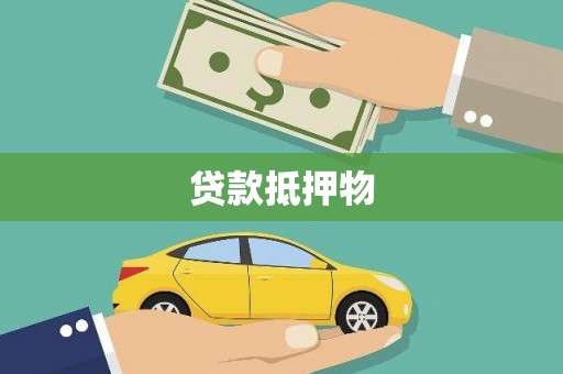 且末贷款抵押物