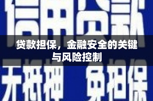 且末贷款担保，金融安全的关键与风险控制
