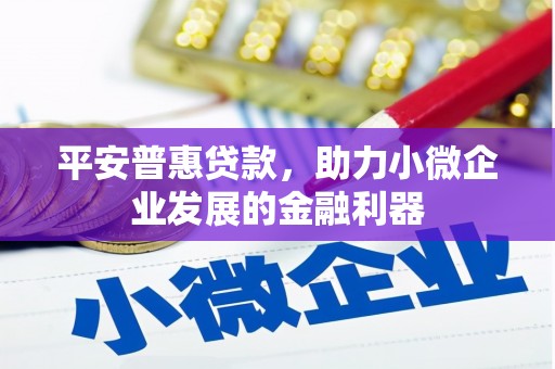 且末平安普惠贷款，助力小微企业发展的金融利器