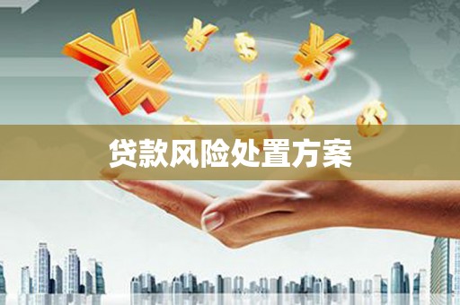 且末贷款风险处置方案