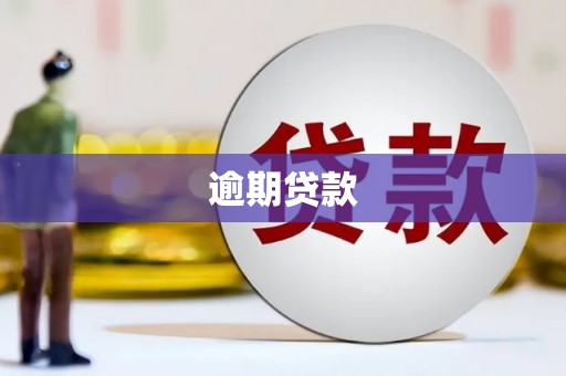 且末逾期贷款