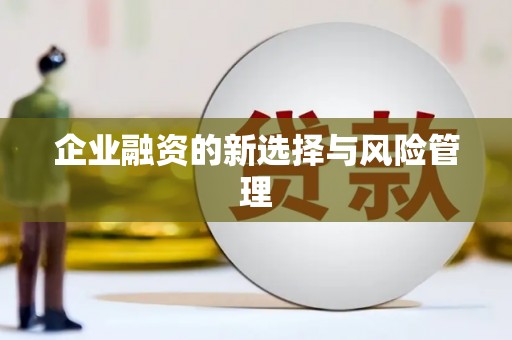 且末企业融资的新选择与风险管理