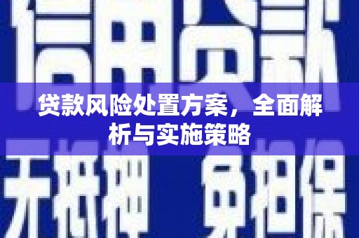 且末贷款风险处置方案，全面解析与实施策略
