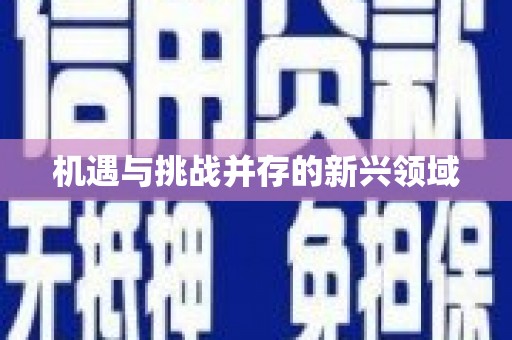 且末机遇与挑战并存的新兴领域