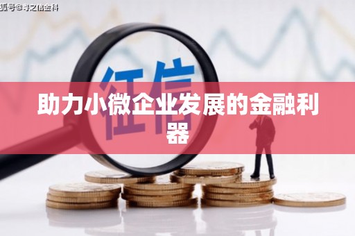 且末助力小微企业发展的金融利器